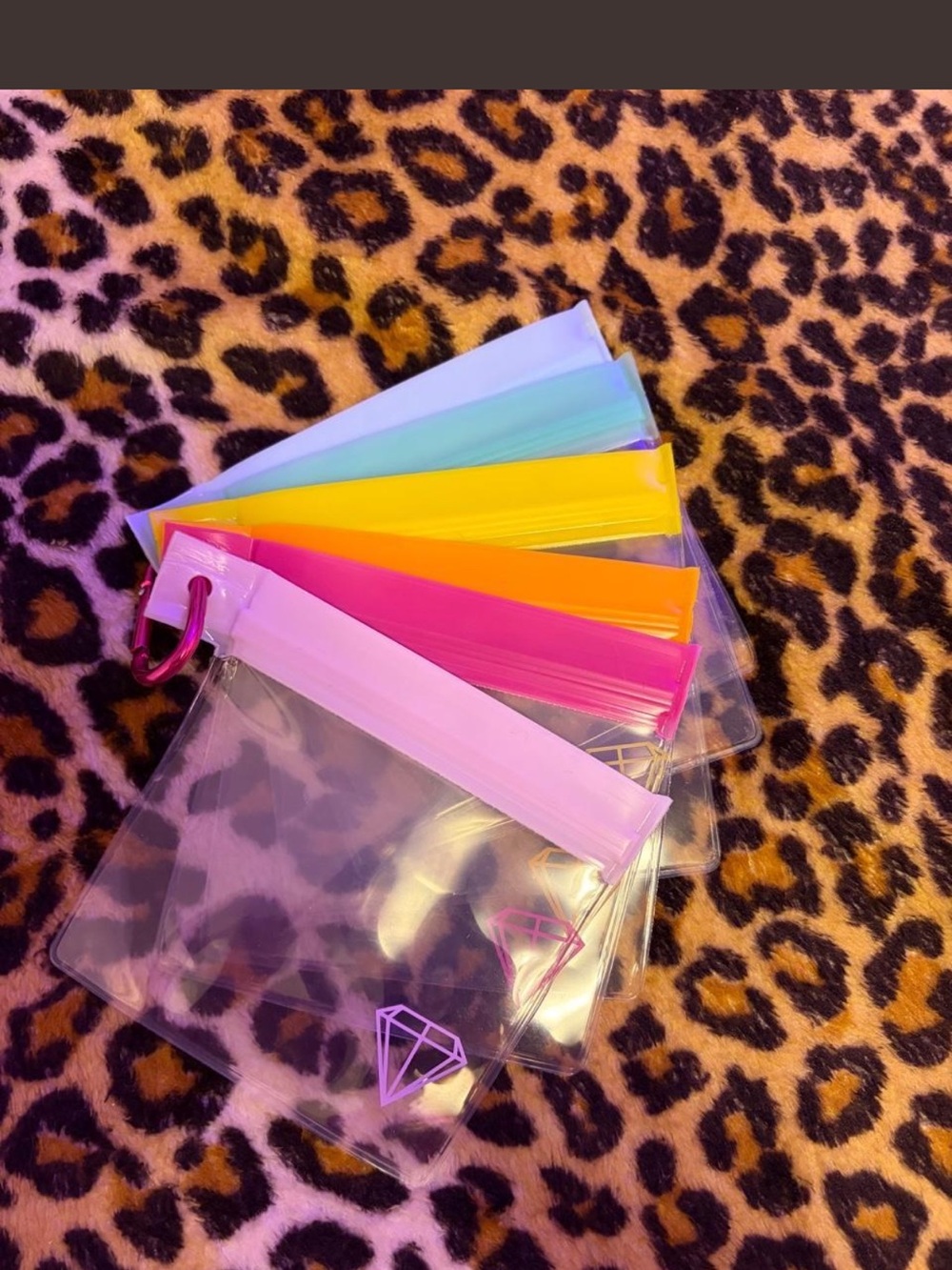 Assorted Neon Clear Zipper Pouches